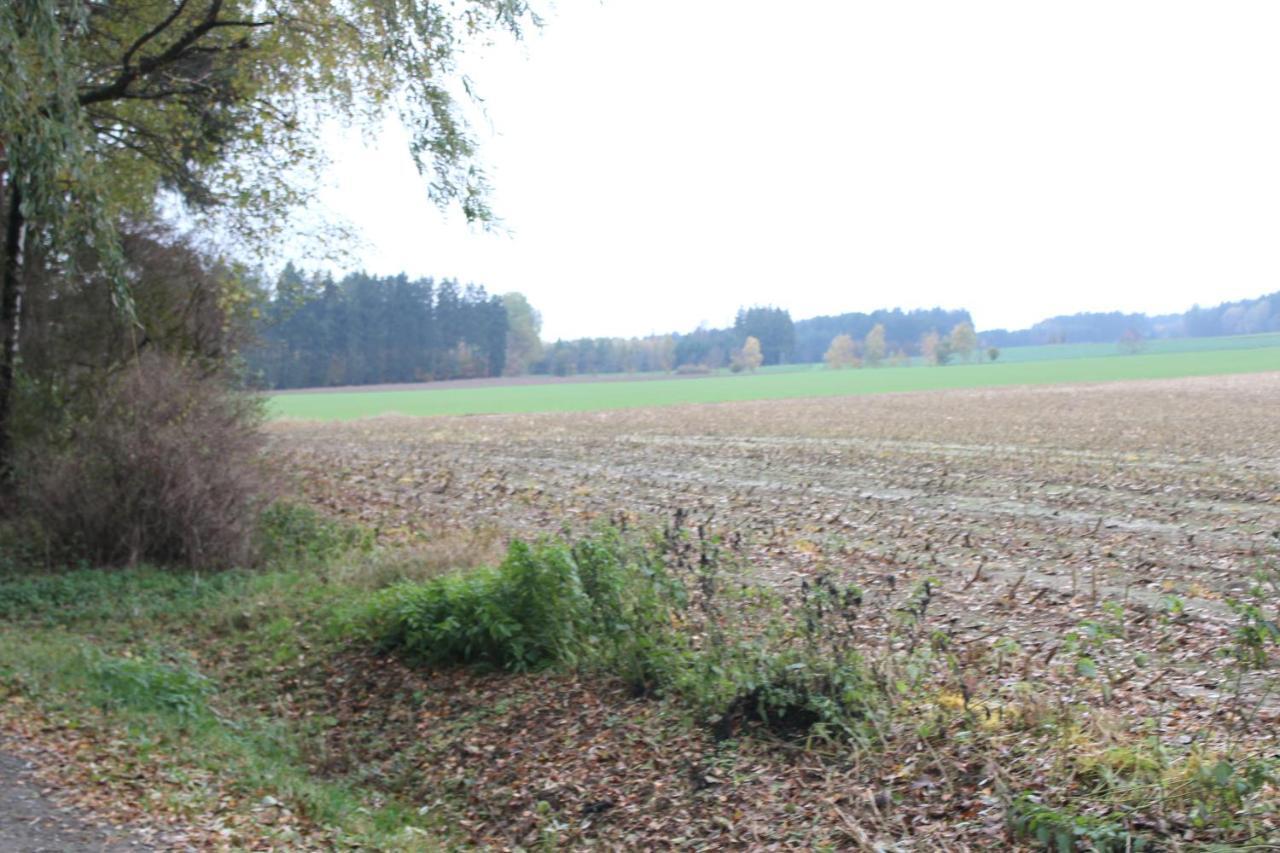 Zumseehoernchen Haus Schmetterling Tanna Bagian luar foto