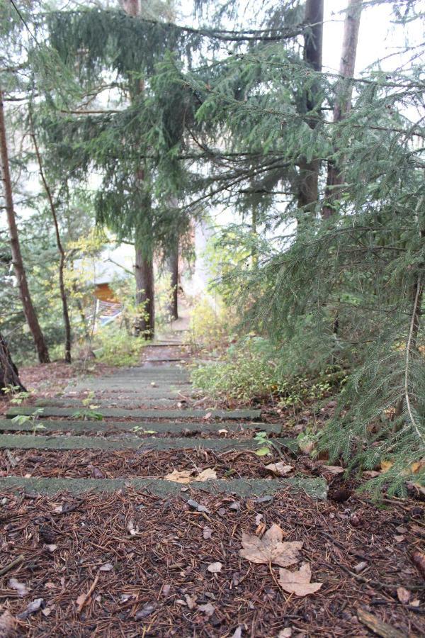 Zumseehoernchen Haus Schmetterling Tanna Bagian luar foto